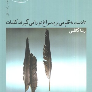 تا دست به قلم می برم سراغ تو را می گیرند کلمات