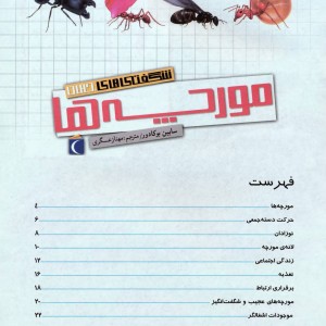 مورچه ها