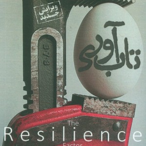 تاب آوری نشر ابوعطا - اندرو شاته، کارن ریویچ