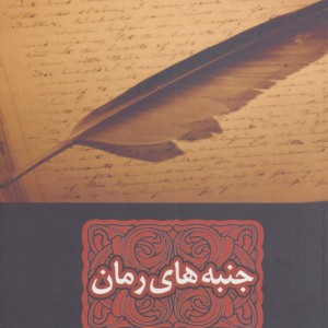 جنبه های رمان