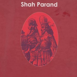 کتاب شاه پرند نوه یزدگرد سوم
