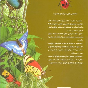 دانستنیهایی درباره حشرات