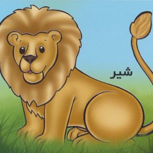 شیر از حیوانات را بشناسیم