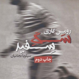 سگ سفید