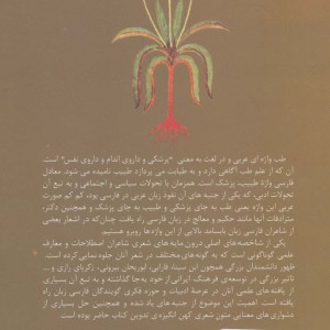طب و مضامین طبی و بازتاب آن در ادب فارسی
