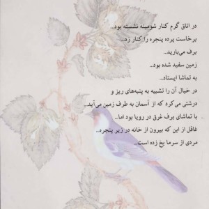 بوستان حکایت