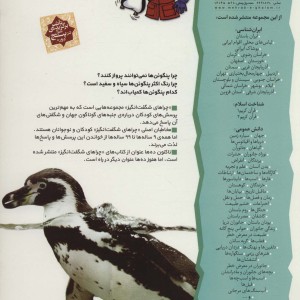 چراهای شگفت انگیز پنگوئن ها