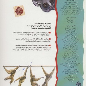 چراهای شگفت انگیز شمپانزه ها
