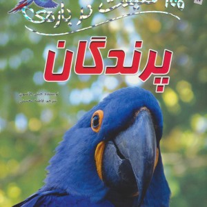 پرندگان نشر سایه گستر قطع رحلی