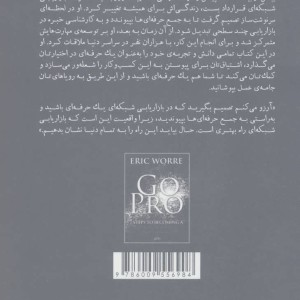 حرفه ای ها نشر زمینه