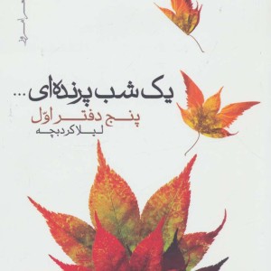 یک شب پرنده ای