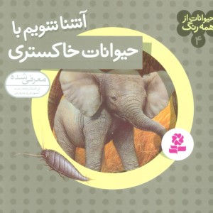 آشنا شویم با حیوانات خاکستری