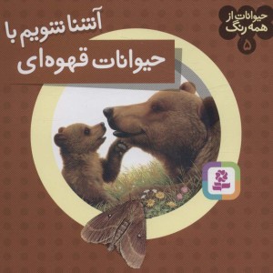 آشنا شویم با حیوانات قهوه ای