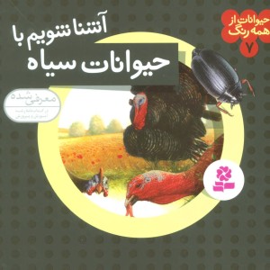 آشنا شویم با حیوانات سیاه