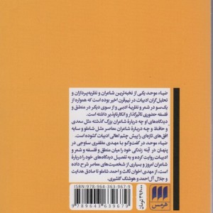 پنهان در آینه