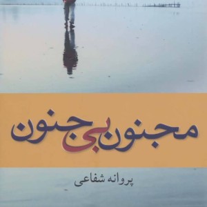 مجنون بی جنون