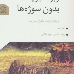 سوبژکتیویته بدون سوژه ها