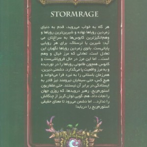 وارکرفت استورم ریج