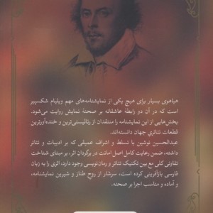 کتاب هیاهوی بسیار برای هیچ نشر ثالث