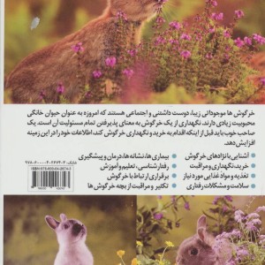 خرگوش نشر جاجرمی