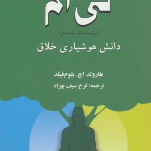 تی ام