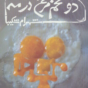 دو تخم مرغ در مه