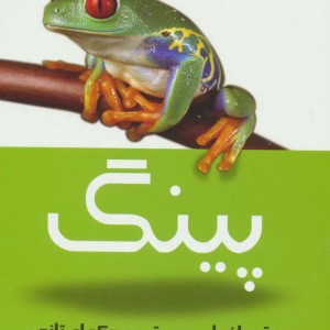 پینگ