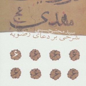 در ولایت مهدی