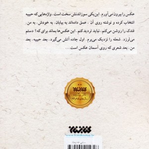 سنگی که نیفتاد