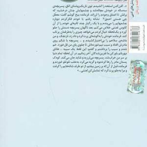 پایان یک نقش
