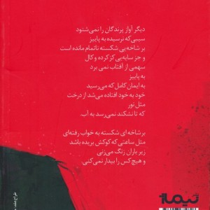 ای کاش آفتاب از چهار سو بتابد