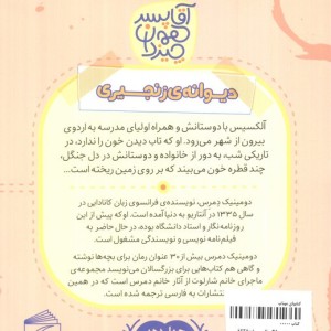 دیوانه ی زنجیری