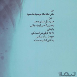 بغلم کن شبلی