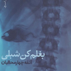 بغلم کن شبلی
