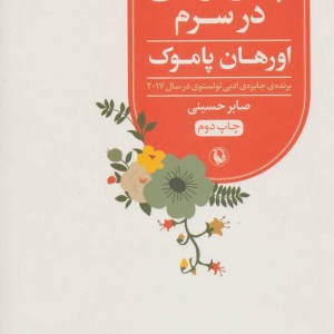 چیز غریبی در سرم