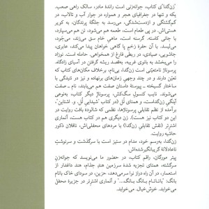 نایب کنسول