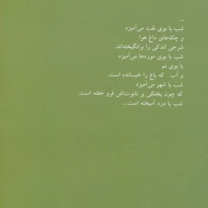 کتاب ایکارها ترانه می خوانند مجموعه شعر