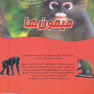 میمون ها نشر سایه گستر