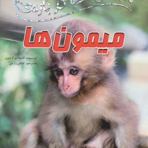 میمون ها نشر سایه گستر