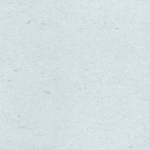 کتاب شرح نهج البلاغه 8