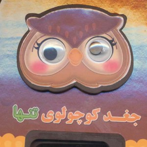 جغد کوچولوی تنها