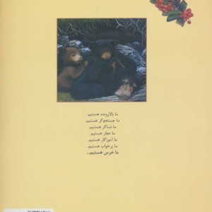 کتاب ما خرس هستیم