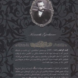 باد در بیدزار نشر افق - کنت گراهام