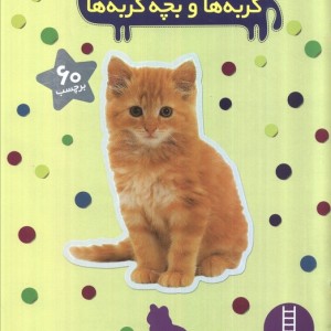 گربه ها و بچه گربه ها