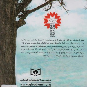 بلندی های بادگیر نشر قدیانی قطع جیبی