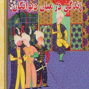 زندگی در میان دیوانگان