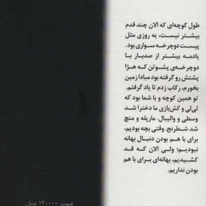 کوچه در دار