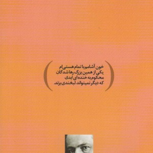 کتاب دندی شهر