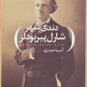 کتاب دندی شهر