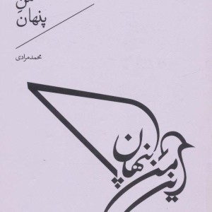 این من پنهان
